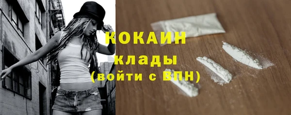 прущие грибы Арсеньев