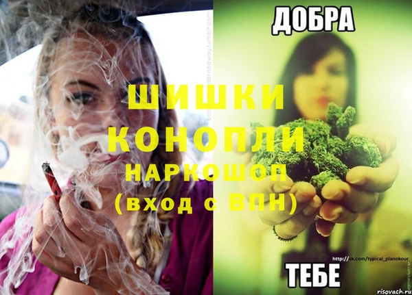 каннабис Аркадак