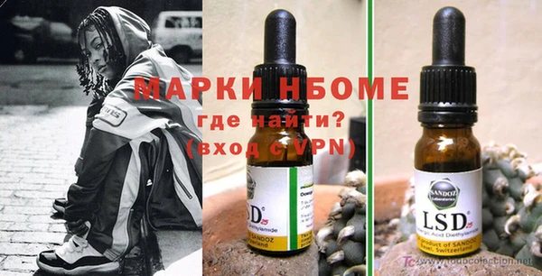 прущие грибы Арсеньев