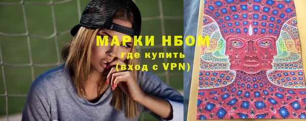 прущие грибы Арсеньев