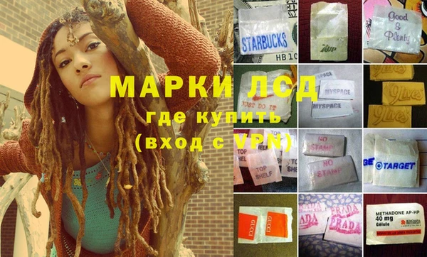 каннабис Аркадак