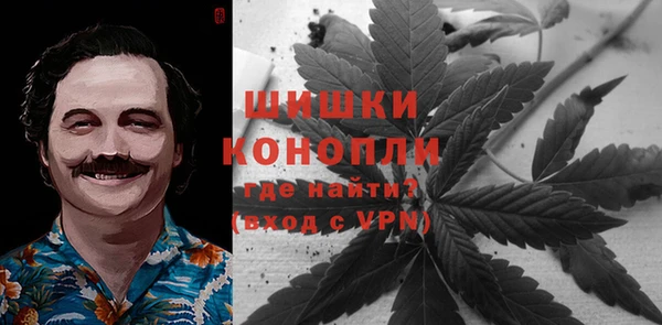 прущие грибы Арсеньев