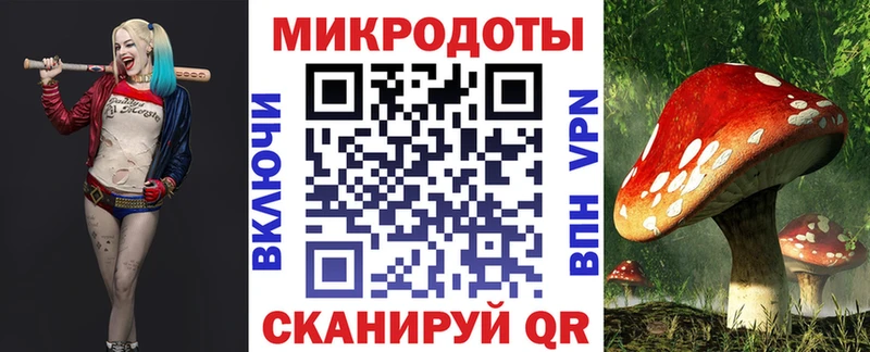 Псилоцибиновые грибы мицелий  Тавда 
